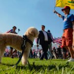 bp miller yz0wfhcohsi unsplash