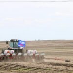 laura seaman l6yzrj5hlu8 unsplash